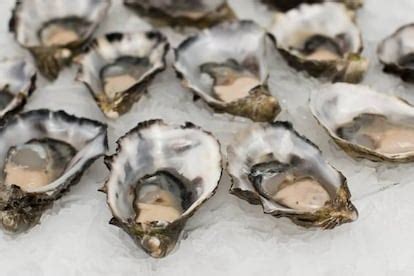 Ostras: guía rápida para gozar del alimento más lujurioso | El ...