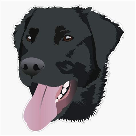 SMJ Designs Black Lab Sticker Vinyl Waterproof Sticker Decal Car India ...