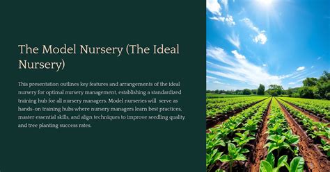 The Model Nursery (The Ideal Nursery)