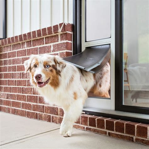 PetSafe Extreme Weather Sliding Glass Pet Door, Easy to Install ...