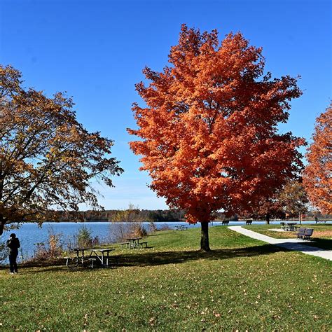 STONY CREEK METROPARK - All You Need to Know BEFORE You Go 2026 (with ...
