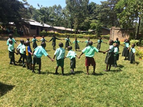 Maude to Mount Phil Russell Memorial Walk, Maude, Tauranga, November 5 ...