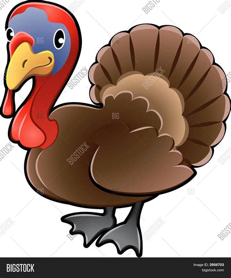Cute Turkey Farm Vector & Photo (Free Trial) | Bigstock