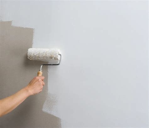 6 Different Types Of Wall Primers: A Comprehensive Guide