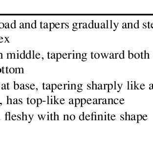 Image result for Tap Root Modifications