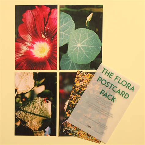 Set of 5 Postcard Sets – Curry Studio Shop
