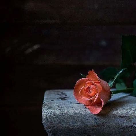 | Quotes & Writings by Aesthetic Thoughts | YourQuote