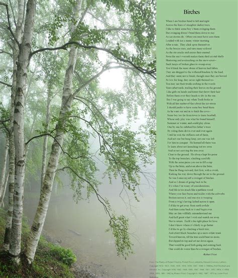 Birches-by Robert Frost Beautiful poem!!(if you zoom in it is readable ...