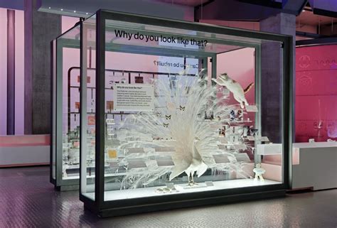 Science Museum Display 的图像结果