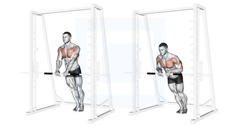 Cable Kickback - Guide, Benefits, and Form