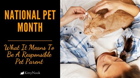 National Pet Month: What It Means To Be A Responsible Pet Parent - Best ...