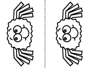 Image result for Science Lab Report On Spider