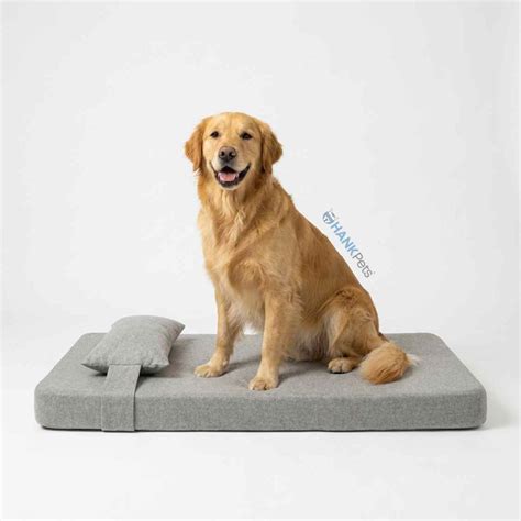 HankPets: Online Pet Store, Shop Dog & Cat Products at Best Prices ...