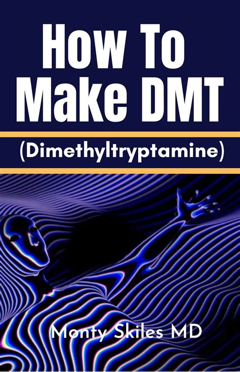 DMT Extraction Tutorial 的图像结果