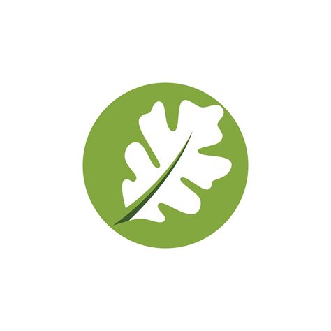 Image result for Vector File of Maple Leaf