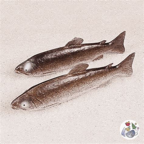 Forellen - Lebensmittelattrappen von Global Trends