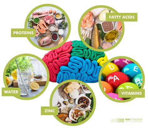 The Impact of Healthy Nutrition on a Student's Health