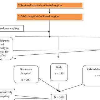 Image result for How to Start Making Sampling Procedure