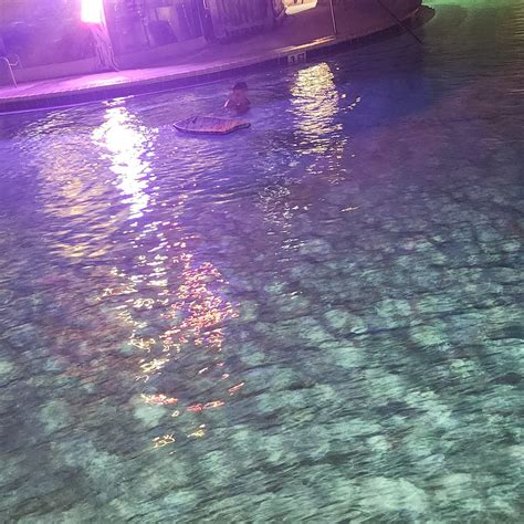 PURPLE PARROT VILLAGE RESORT (Perdido Key) - Apartment Reviews & Photos ...