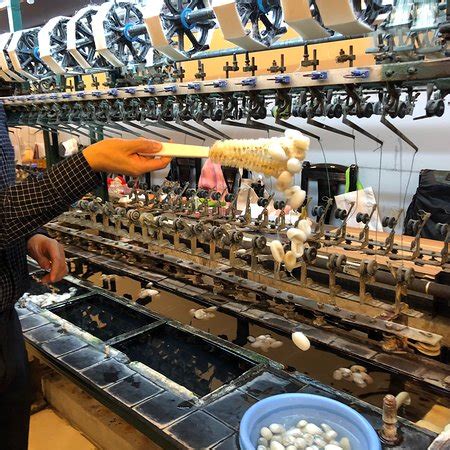 Tian Hou Silk Factory (Shanghai) - 2019 What to Know Before You Go ...