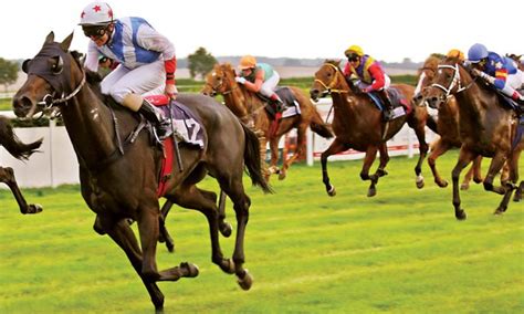 Karnataka High Court Issues Interim Order Permitting Bangalore Turf ...