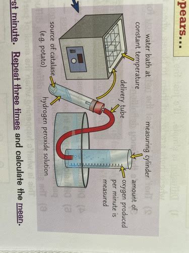 GCSE Science Experiments 的图像结果