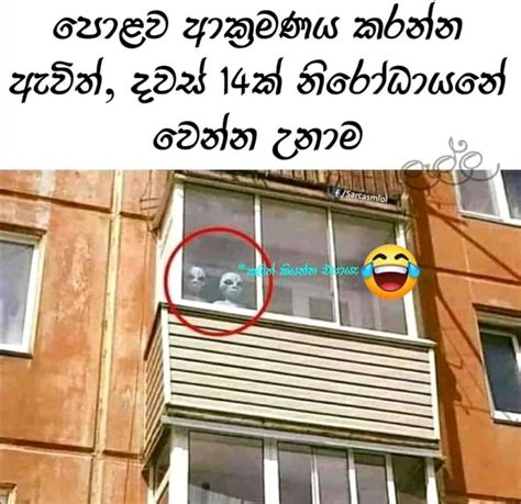 Image result for Alien Noises Compilation