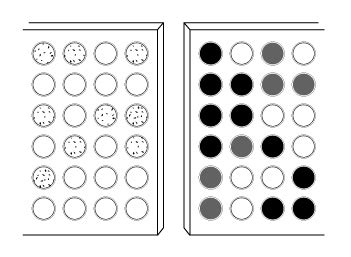 Image result for Optimization Elisa