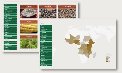 CGIAR DIIVA project | ASTI