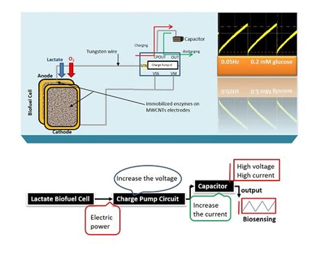 Self-Powered Electrochemical Lactate Biosensing