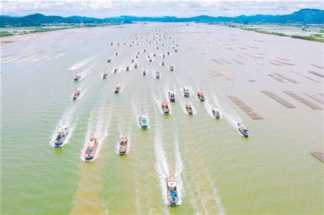江门市2241艘渔船开始新一轮出海捕捞作业-广东省农业农村厅网站