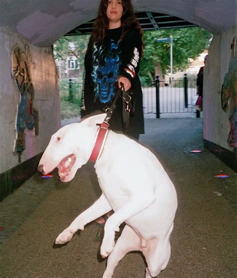 Scary Dog Privilege: meet the hounds empowering and… - The Face