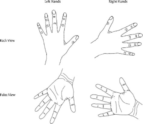 Image result for Left Hand Back View Drawing