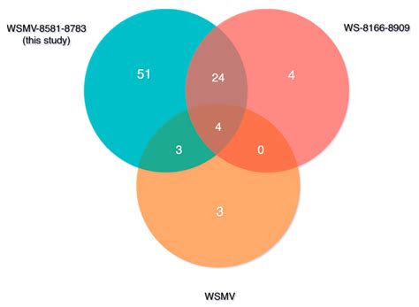 Distribution of Wheat-Infecting Viruses and Genetic Variability of ...
