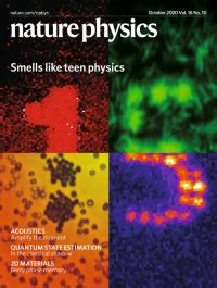 Nature Physics 的图像结果