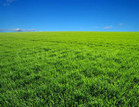 Field Calculator Python 的图像结果