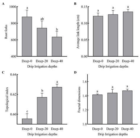 Drip Irrigation Depth Alters Root Morphology and Architecture and Cold ...