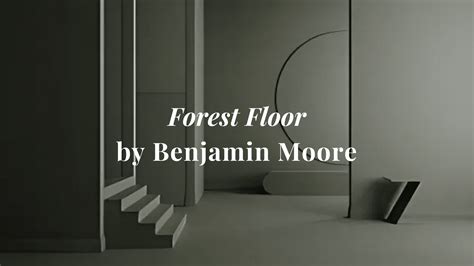 Stylish Benjamin Moore Forest Floor To Upgrade