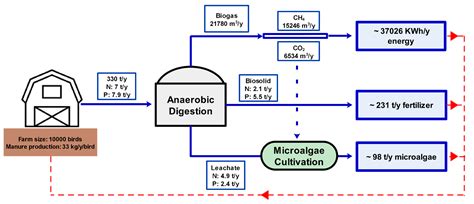 Coupling of Microalgae Cultivation with Anaerobic Digestion of Poultry ...