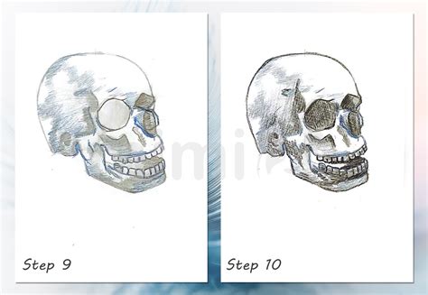 Image result for Skull Drawing Tutorial