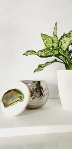 Nest Interiors Home Steel Utility Container - 400 ml Price in India ...