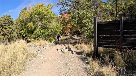 Horsetail Falls Hike from the Dry Creek Trailhead in Alpine, Utah
