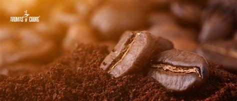 Aromas of Coorg - Revalenta Arabica, 100% Pure Coffee (Beans/Powder ...