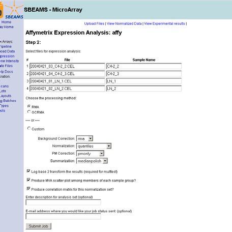 Normalization Process Step 的图像结果