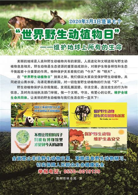 野生动物保护宣传资料_滁州市林业局