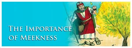 Image result for Meekness Examples
