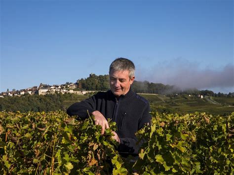 DOMAINE ERIC LOUIS (2026) All You Need to Know BEFORE You Go (with ...