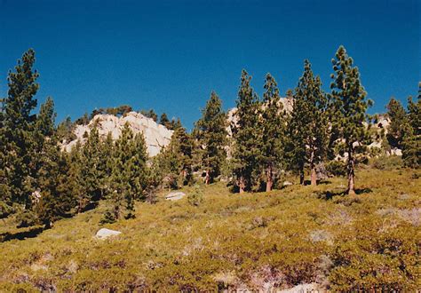 Pinecrest Campground | Pinecrest, CA