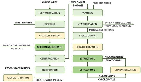Microalgae Strain Porphyridium purpureum for Nutrient Reduction in ...