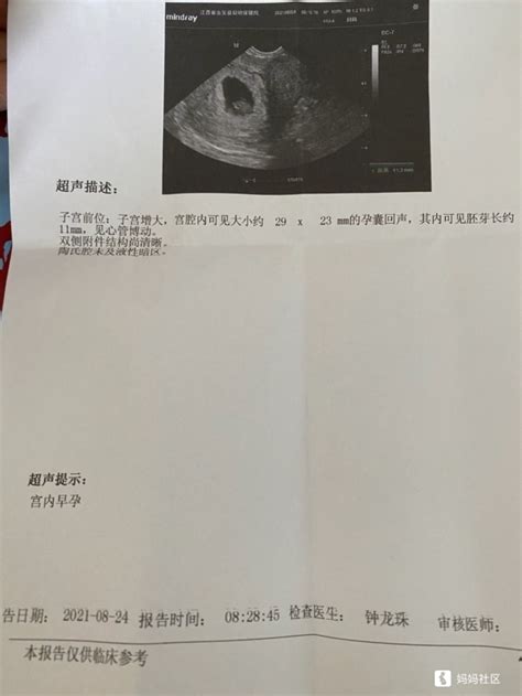 怀孕6周，做B超还没看见胎心胎芽，是该坚持还是放弃？_腾讯新闻